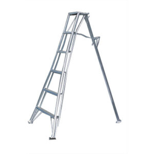 [BUSEONG] — GM-150 Ladder (Fruit Tree Type)