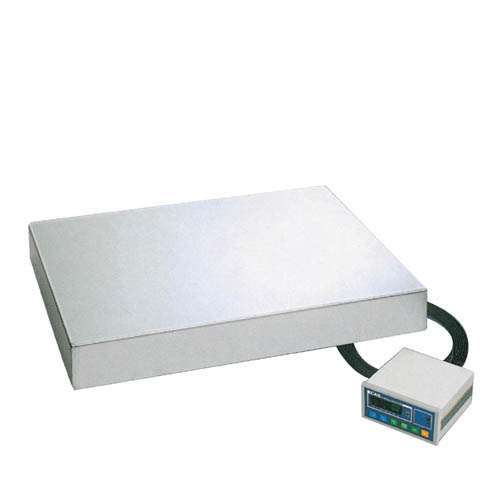[Cas] — 500A Platform Scale