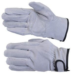 [Dong Ho Trading] — A有 Argon Gloves (Pigskin)