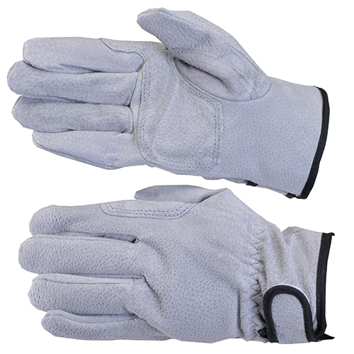 [Dong Ho Trading] — A有 Argon Gloves (Pigskin)