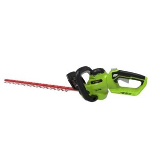 [Greenworks] — GW2200573 Cordless Pruner