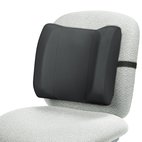 [Fellowes] — 91905 Back Cushion