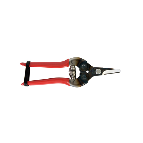 [ARS] — 310 Red Cutting Shears