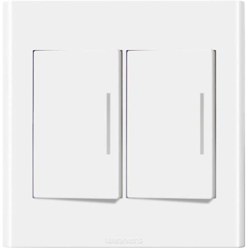 [Winners] — 920-0454 Flush-Mounted Switch (Winner)
