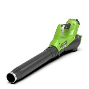 [Greenworks] — GW2401273 Axial Fill Blower
