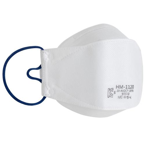 [MC] — HM-1120 2 Disposable Dust Mask with Face Seal