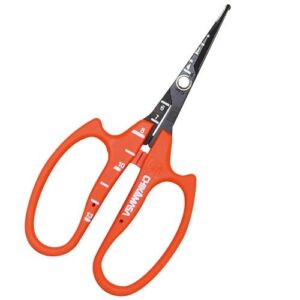 [Chikamasa] — B-600SLMUF Grape Scissors