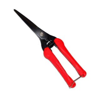 [SHINSEONG] — P-1 Gel Zone Scissors