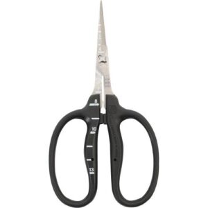 [Chikamasa] — B-500SX Grape Scissors