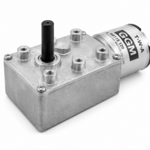 [GGM] — KWB-3429-P1 Worm Geared Motor (DC 12V, F/R output, 1/70–1/1800)